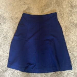 Blue Lark and Ro skirt